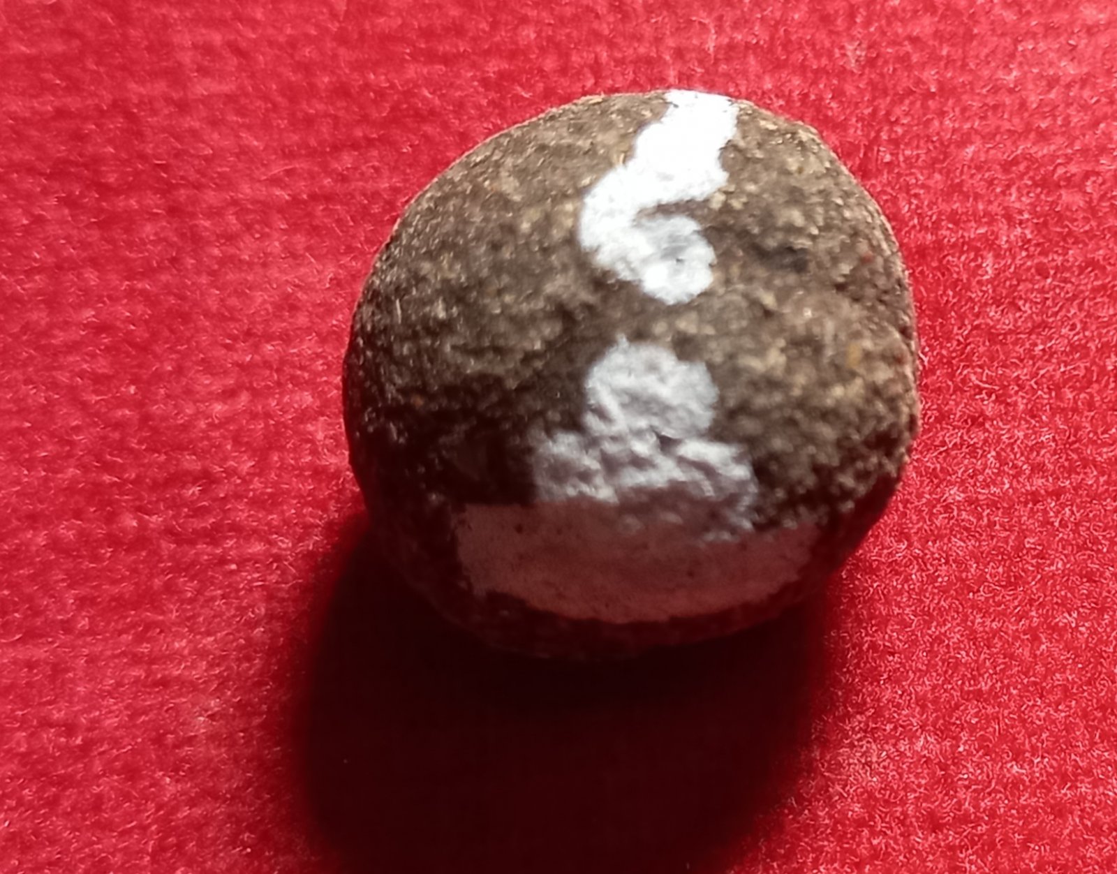 20250324_165907.jpg